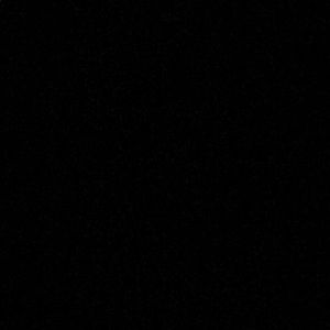 Meet your Posher, Riley